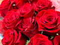 rroses3