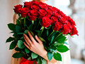51rroses