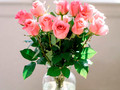 roseroses