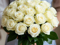 belroz