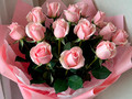 15rosrosupak2